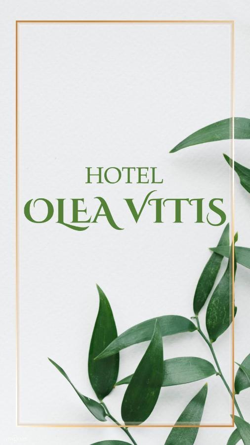 Olea Vitis Hotel เมจูโกเรีย ภายนอก รูปภาพ